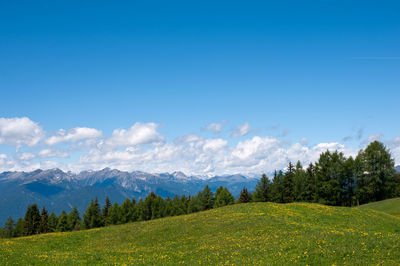 Scenic view of field and trees against blue sky
