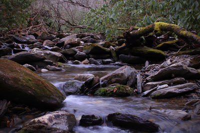 River flowing through rocks in forest