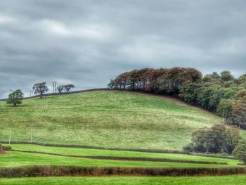 Scenic view of grassy field against cloudy sky