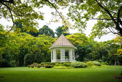 House amidst trees and building against sky