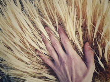 Close-up of human hand against the sky