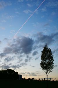 Low angle view of silhouette trees against sky