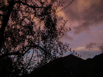 Low angle view of silhouette tree against sky at sunset