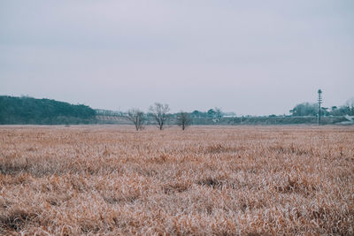 Scenic view of field against cloudy sky