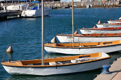 High angle view of sailboats moored in harbor