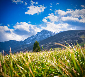 Surface level of field against sky