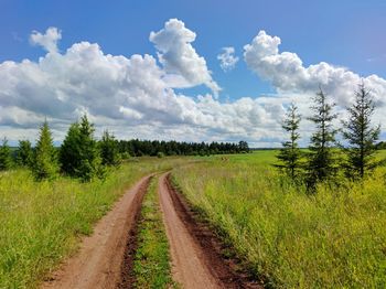 Road in a green field on a sunny day