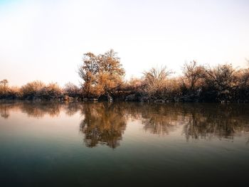 Reflection of trees in lake against sky