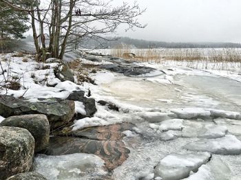 Scenic view of snow covered landscape