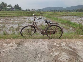 transportation