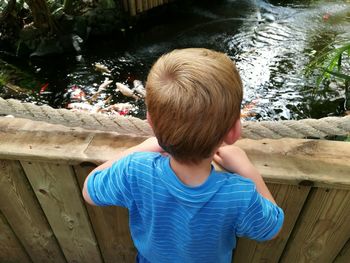 High angle view of boy looking at koi carps swimming in pond