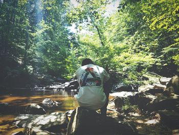 Rear view of woman standing by tree in forest