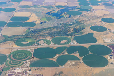 Full frame shot of agricultural field