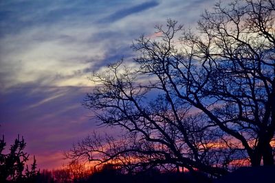 Low angle view of silhouette bare trees against sky