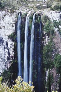 Scenic view of waterfall in forest