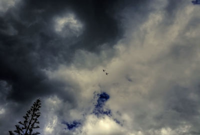 Low angle view of birds flying in sky