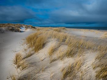 Scenic view of beach against sky