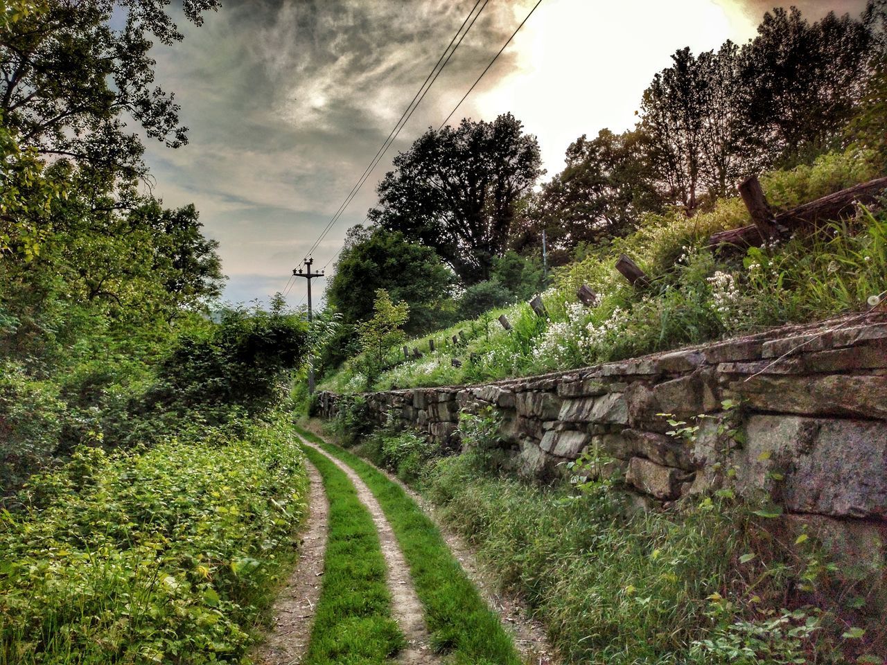 DIRT ROAD AMIDST TREES AGAINST SKY