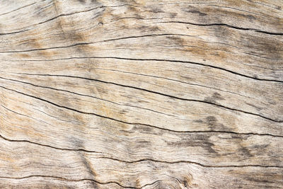 Full frame shot of wooden floor