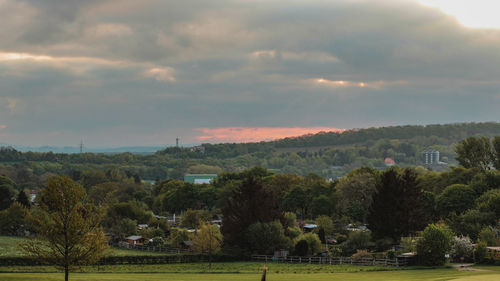 Trees and buildings against sky during sunset