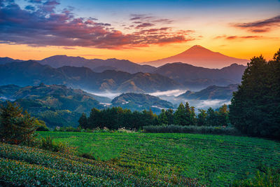 Scenic view of field against sky during sunset