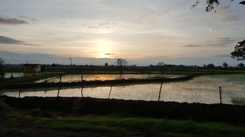 Scenic view of field against sky during sunset