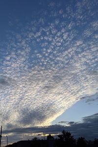 Low angle view of silhouette trees against sky