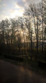 Silhouette trees in forest against sky during sunset