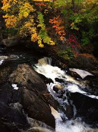 River flowing through rocks