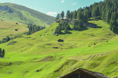 Scenic view of green landscape against sky