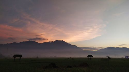 Scenic view of silhouette field against sky during sunset