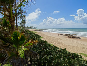 Scenic view of beach against blue sky