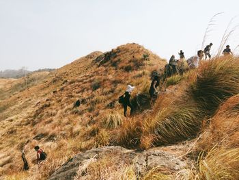 People walking on mountain road against sky