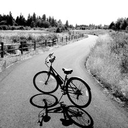 Bicycle parked on road