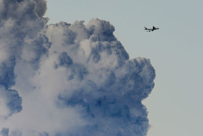 Low angle view of airplane flying in sky