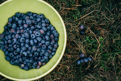 High angle view of blackberries in container on field