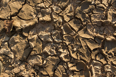 Full frame shot of cracked land