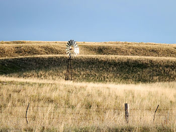 View of horse on field against clear sky