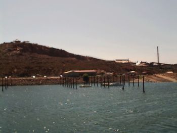 Reflection of trees in water