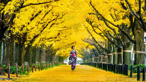 Woman walking on road amidst trees during autumn