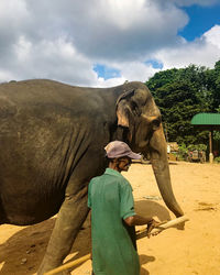 Man standing by elephant against sky
