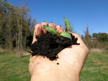 Close-up of hand holding plant on field