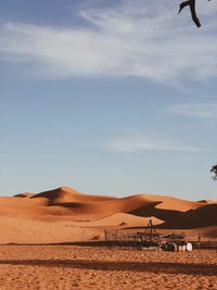 Low angle view of bird flying against sky during sunset