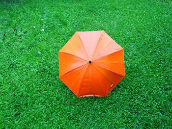 High angle view of umbrella on grassy field