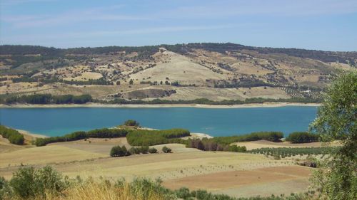 Scenic view of landscape against sky