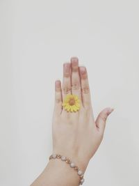 Cropped hand of woman holding yellow flower against white background