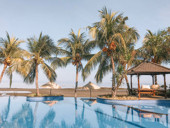 Palm trees by swimming pool against sky