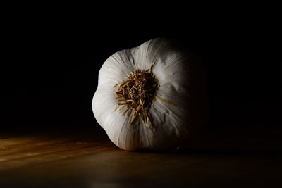 Close-up of garlic on table against black background