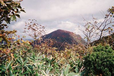 mountain