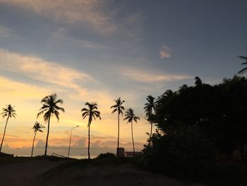 Palm trees on beach against sky at sunset